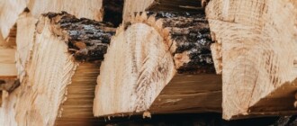 В Украине выросли цены на дрова: за сколько можно купить древесину