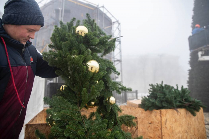На Софийской площади монтируют новогоднюю елку: как она смотрится.