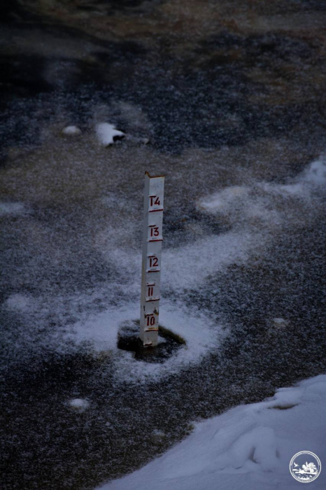В Чернобыльской зоне стремительно поднялся уровень воды в реке.