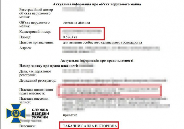СБУ арестовала киевское имущество и счет экс-министра образования Табачника