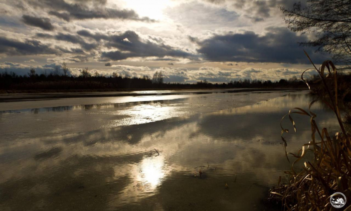 В Чернобыльской зоне стремительно поднялся уровень воды в реке.