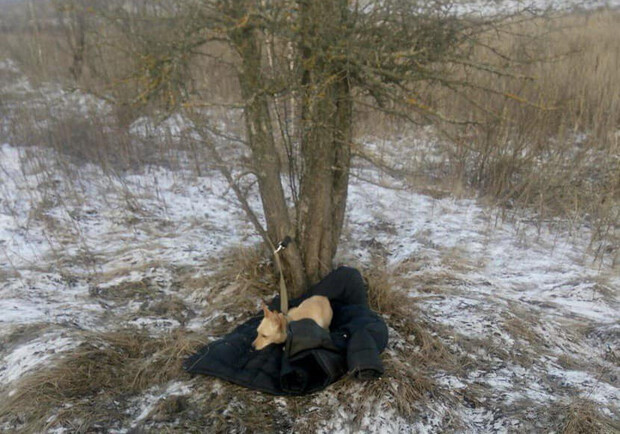 На Киевщине мужчина ценой своей жизни спас собаку, провалившуюся под лед. 