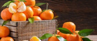 Продуктовые ярмарки в Киеве 21-24 февраля 2022: адреса