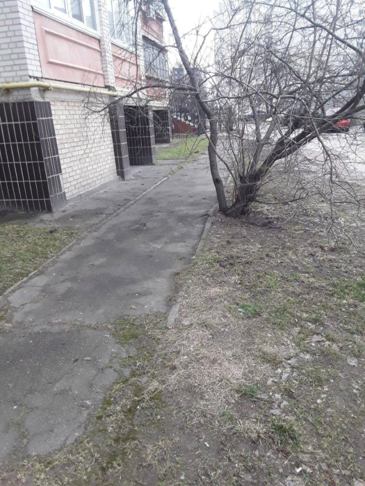 В Киевской области мужчина хладнокровно убил собаку.