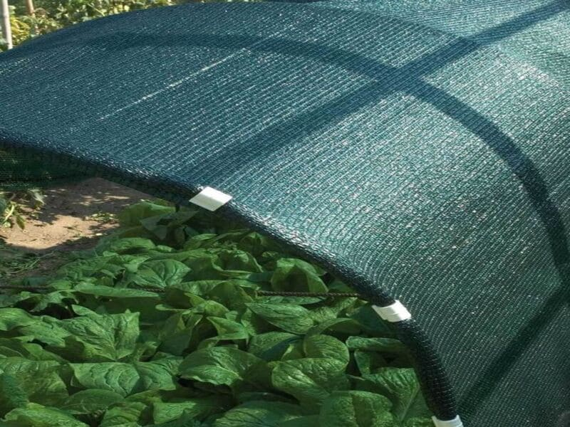 Затеняющая сетка для дачного участка: защита от солнца и улучшение микроклимата