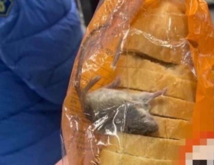 Киевлянин нашел в хлебе мышь. Фото: Госпродпотребслужба