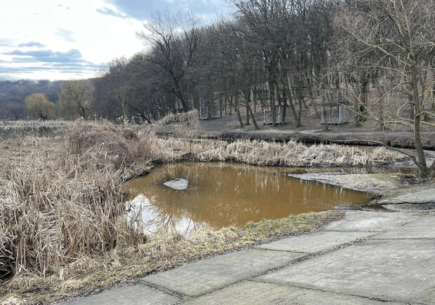 Вода в озерах в Голосеевском парке меняет цвет: в чем причина. 
