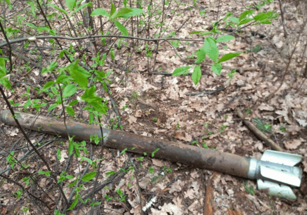 В киевских лесах продолжают находить снаряды. 