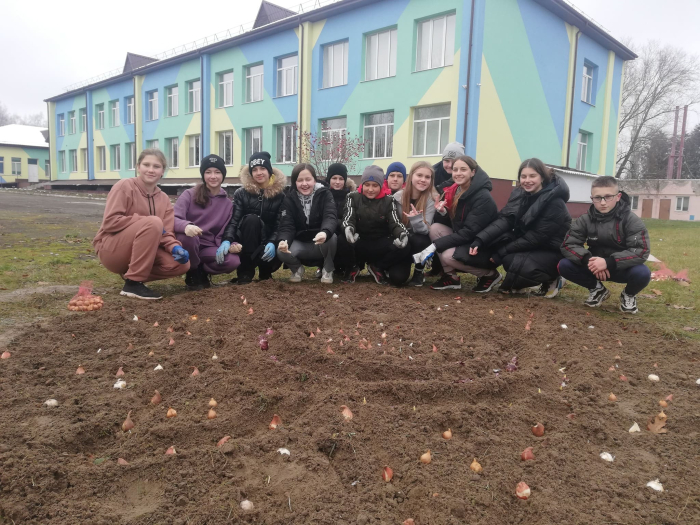 Квіти перемоги: стартував проєкт Flowers4School, мета якого - висадити 100 млн тюльпанів біля українських шкіл фото 1