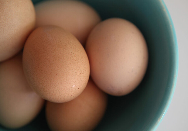 В Украине скоро подешевеют куриные яйца: когда и насколько. 