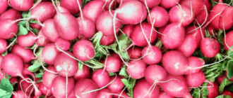 Продуктовые ярмарки в Киеве 13-14 мая: адреса