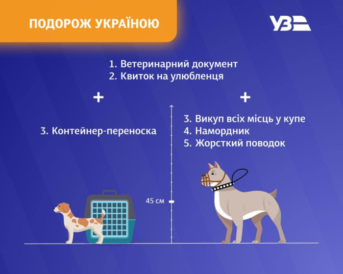 В УЗ напомнили правила перевозки домашних животных в поездах: инструкция фото 1