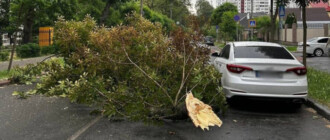 Поваленные деревья и обесточенные электрички: в Киеве пронесся мощный ураган (фото, видео)