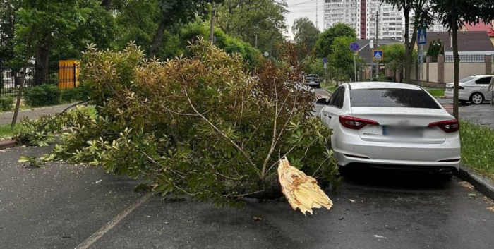 машина, дерево, ураган в киеве, погода в Киеве