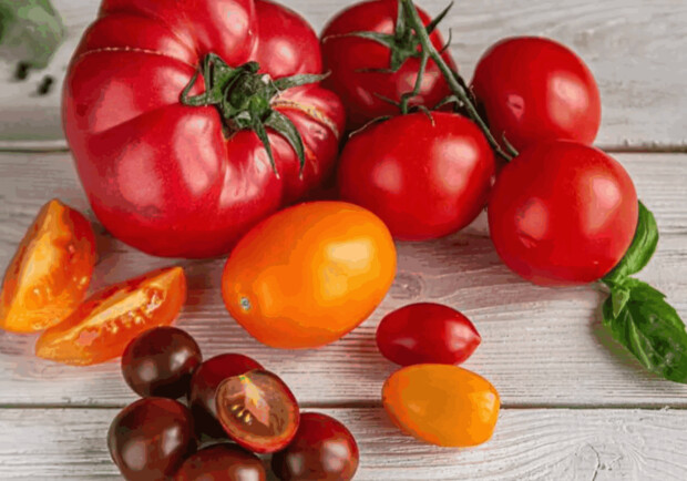 Продуктовые ярмарки в Киеве 22-23 июля: адреса. 