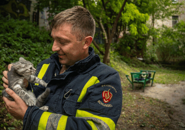 Спасатели в Шевченковском районе спасли котенка, забравшегося высоко на дерево. 