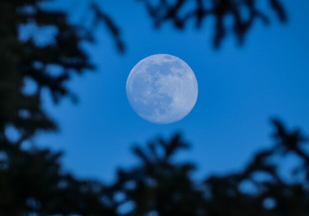 Голубая Луна над Киевом: когда увидеть суперполное - фото: Getty Images