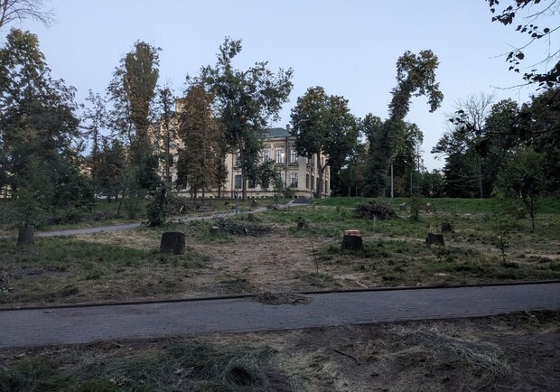 В "Киевзеленстрое" прокомментировали удаление деревьев в парке КПИ - 