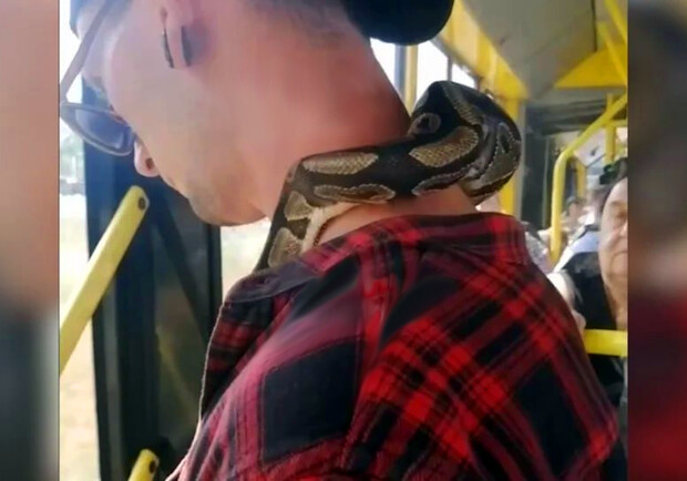В Киевском автобусе пассажир перевозил питона на шее - 