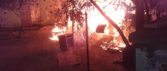 В Киеве сгорела "Котобаза" на Теремках: много животных погибло