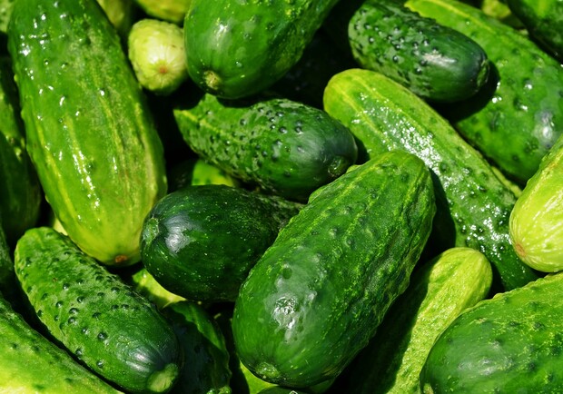 Продуктовые ярмарки в Киеве 21-22 октября: адреса. 