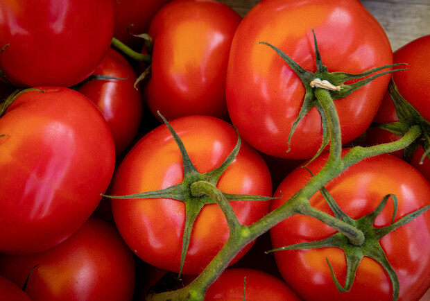 Где на этой неделе в Киеве пройдут продуктовые ярмарки. Адреса. 