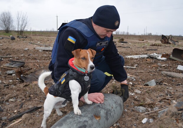 На месте снесенного памятника Пушкину киевляне предлагают установить скульптуру... собаке. 