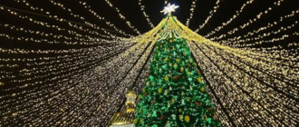 Стало известно, за чьи средства установят новогоднюю елку в Киеве