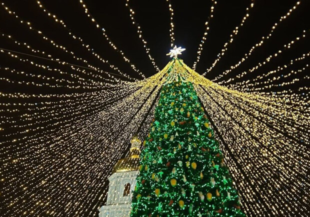 Стало известно, на чьи средства установят новогоднюю елку в Киеве. 