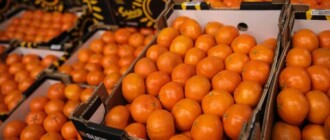 Завезли из Египта: в Украину попали ядовитые мандарины