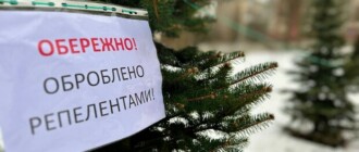 В Киеве новогодние деревья обрабатывают химикатами, чтобы защитить от незаконной вырубки