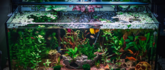 Какой фильтр в аквариум выбрать?