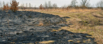 Итоги пожара на лугах Осокорков - фото