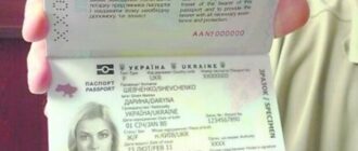Мифы и факты о консульских услугах для мужчин за границей: разъяснения МИД Украины