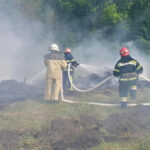 Масштабный пожар в лесу под Киевом: что известно на данный момент