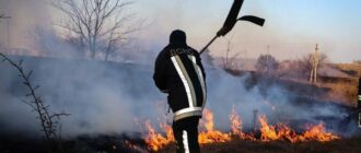 Обережно з вогнем: в Києві та області попереджають про надзвичайний рівень пожежної небезпеки