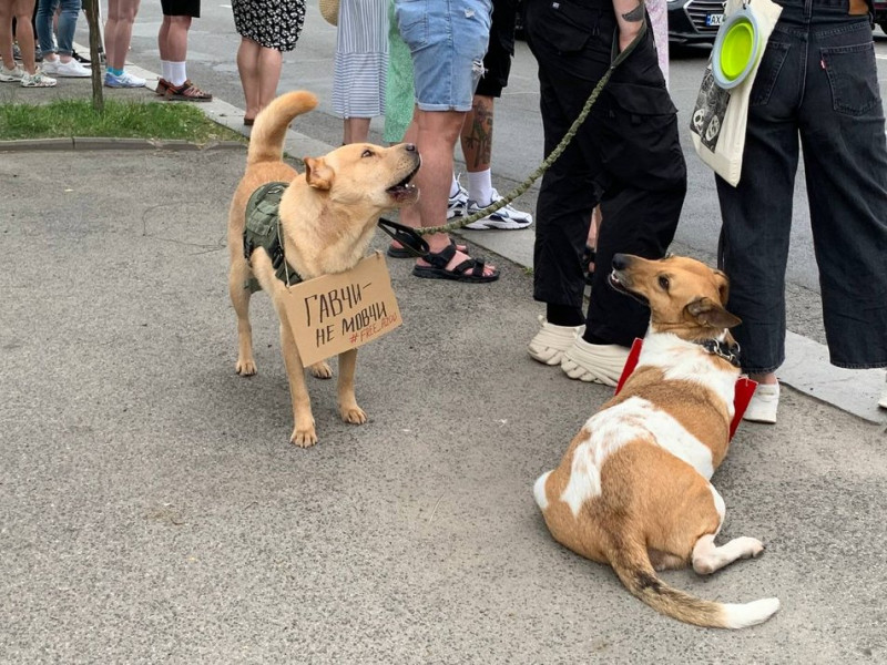 "Байдужість вбиває": в Києві провели акцію на підтримку військовополонених