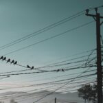 Енергетики повідомили, коли вимикатимуть електрику киянам 14 червня