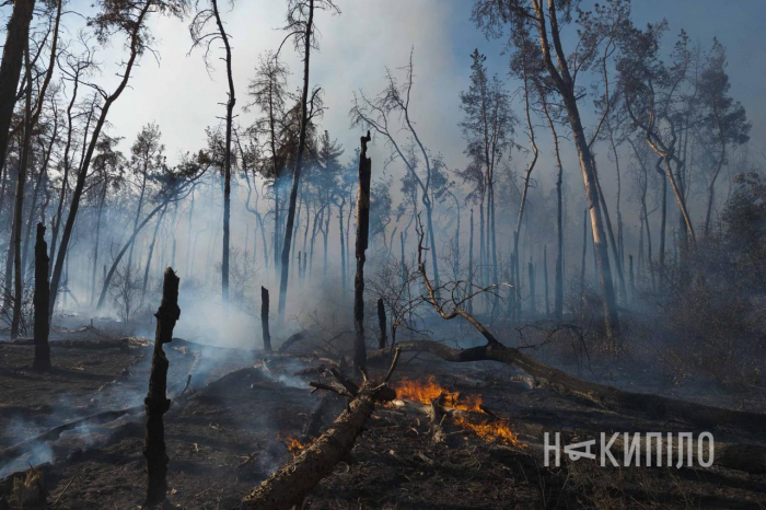 В районе Журавлевского гидропарка горит лес, транспорт пускают в объезд.