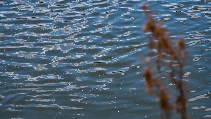 Тетіїв залишиться без води на декілька днів: яка причина