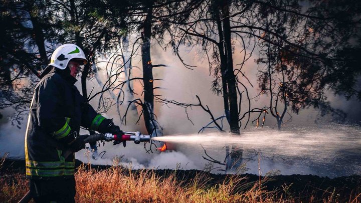 У Києві можливе задимлення: у КМДА попереджають про погіршення якості повітря через пожежі у Вишгородському районі