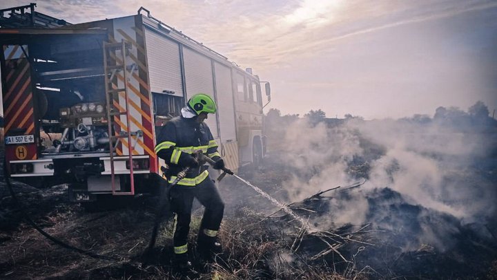 У Києві можливе задимлення: у КМДА попереджають про погіршення якості повітря через пожежі у Вишгородському районі