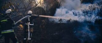 Надзвичайники за добу загасили понад 100 пожеж в екосистемах Київщини