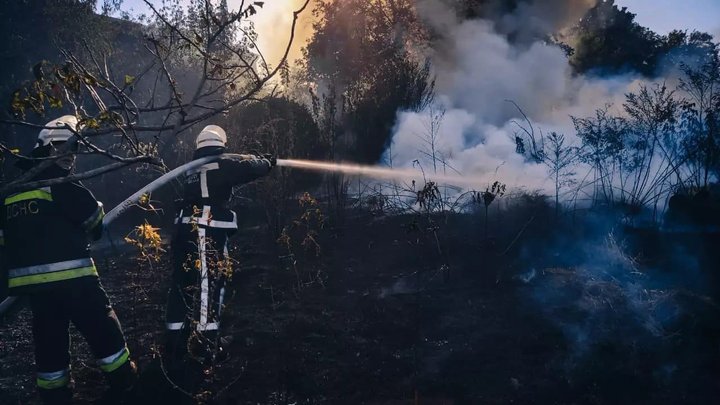 Надзвичайники за добу загасили понад 100 пожеж в екосистемах Київщини