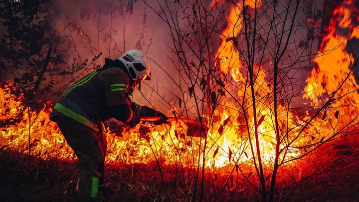 Дві масштабні пожежі спалахнули під Києвом: що відомо