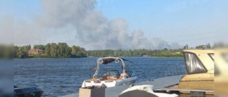 Дым видно из Киева: в районе Вышгорода масштабный пожар, может гореть лес, — соцсети (видео)