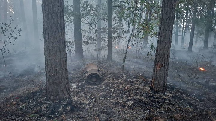 На Київщині ліквідовують лісові пожежі після нічного обстрілу