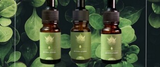 CBD масло: Что это такое, как выбрать и где купить CBD масло?