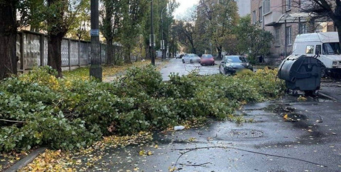 Инцидент в Киеве, Киев упало дерево, Киев непогода 4 ноября, Киев сильный ветер 4 ноября, Патрульная полиция Киева 4 ноября, Патрульная полиция Киева 4 ноября