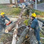 Відключення світла, повалені дерева: наслідки негоди в Києві та області